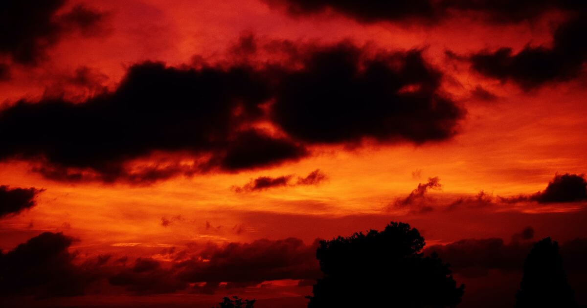 featured article image