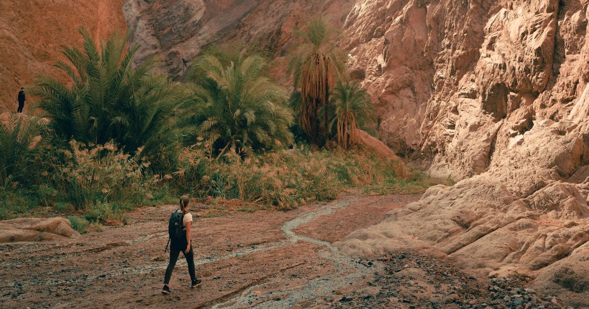 featured article image