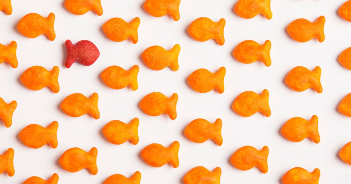 featured article image