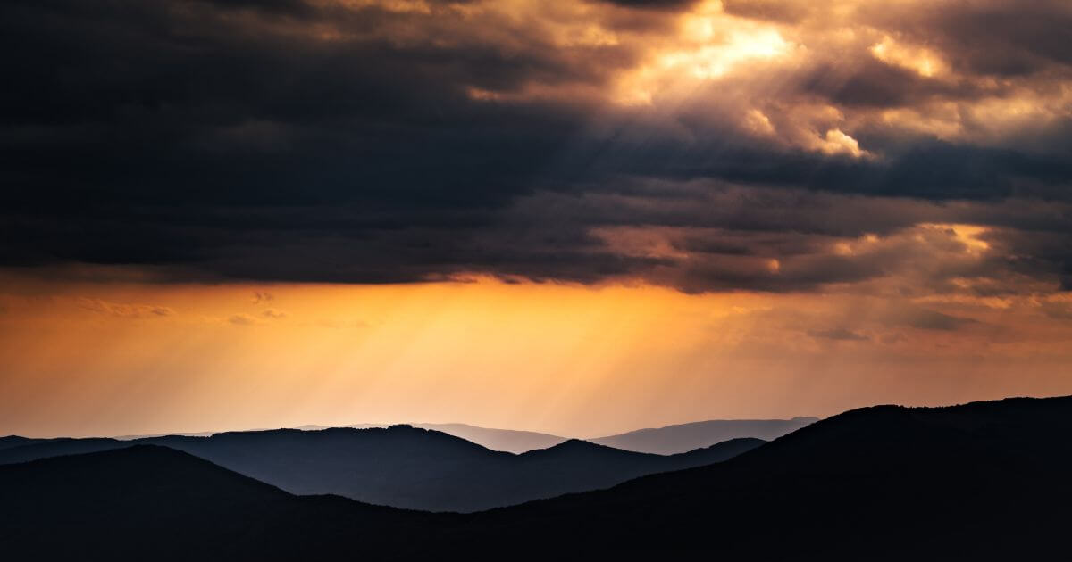 featured article image