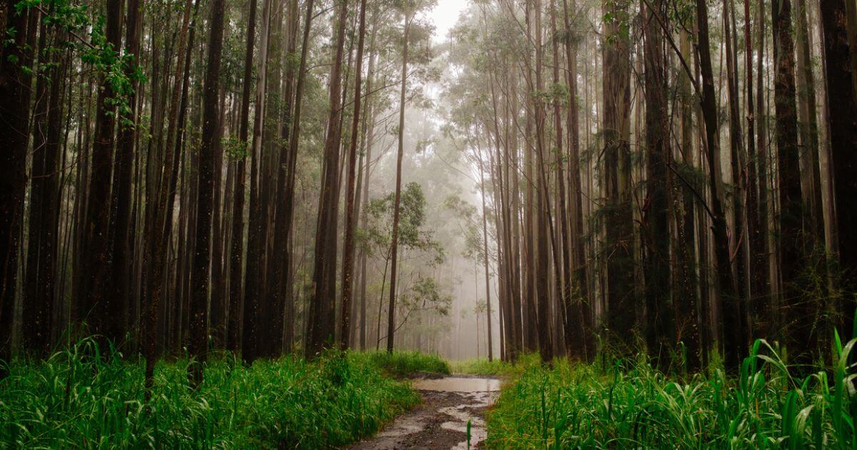 featured article image