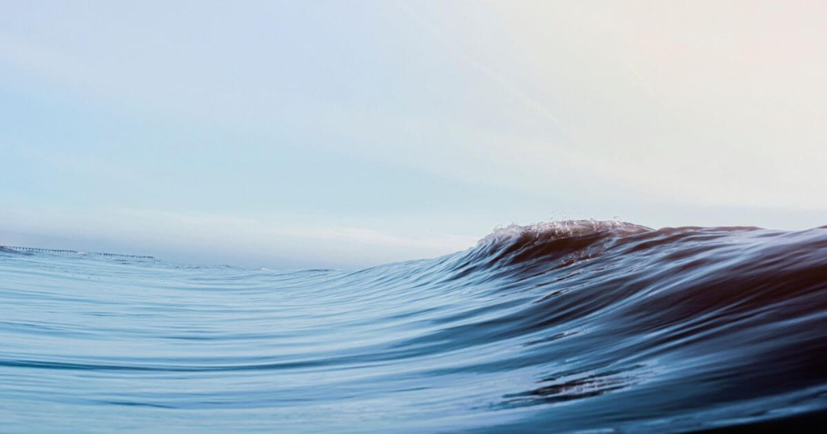 featured article image