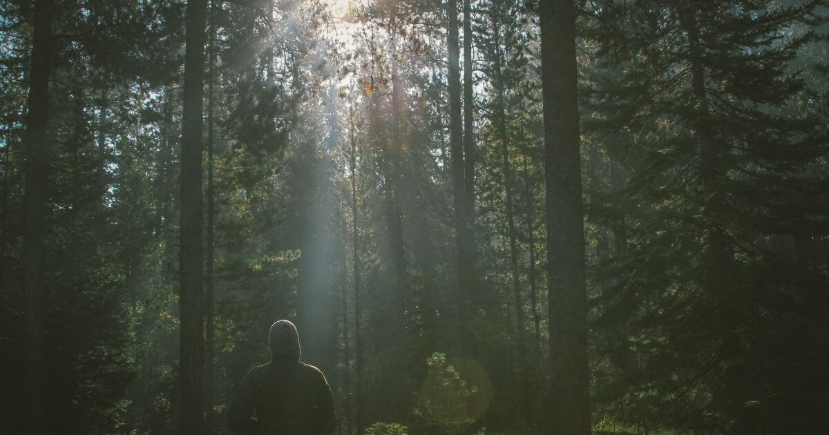 featured article image