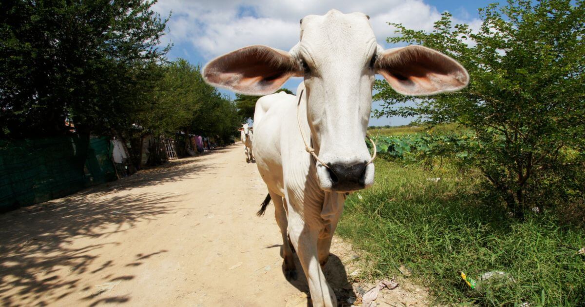 featured article image