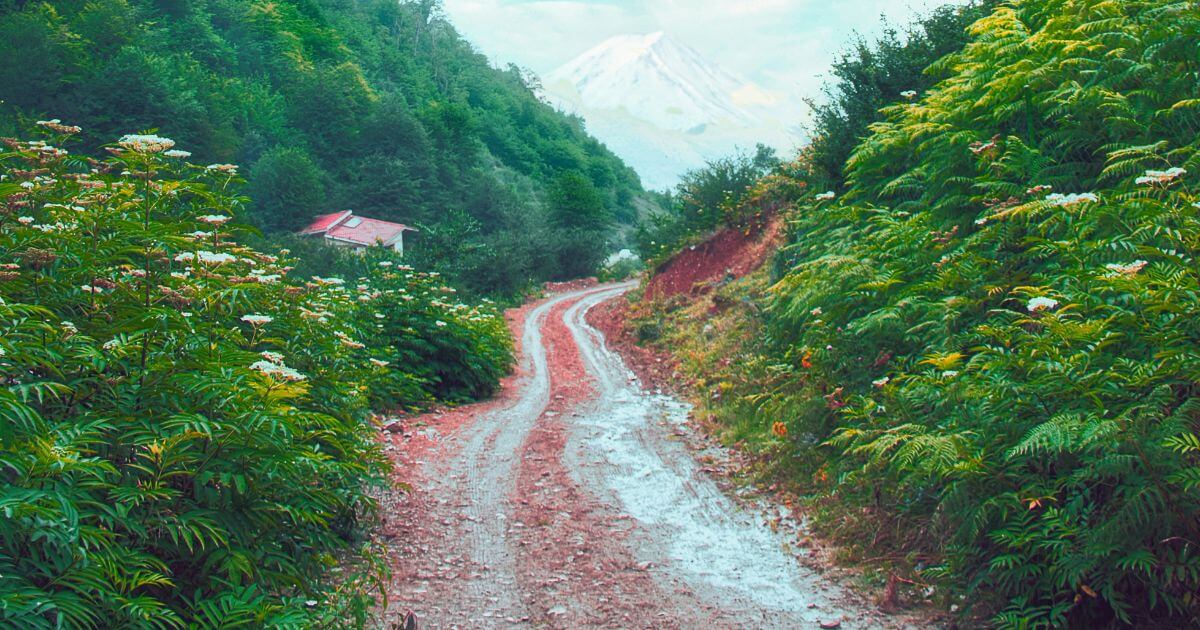 featured article image