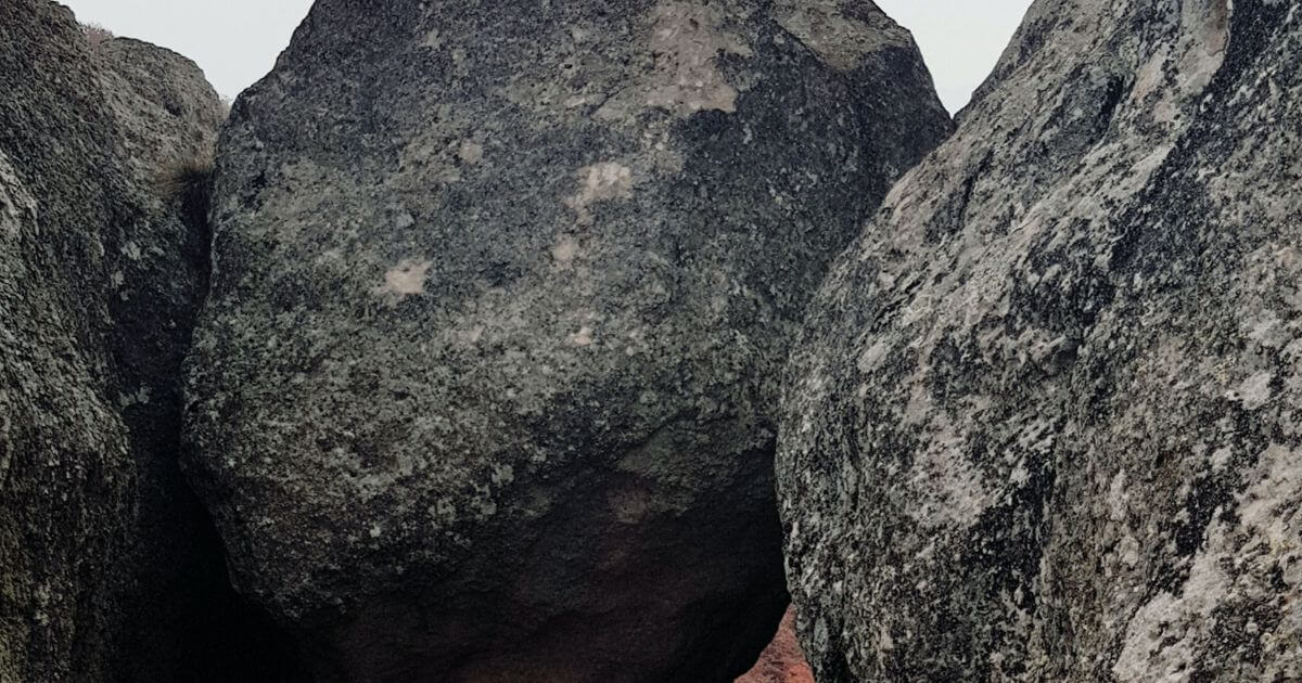 featured article image