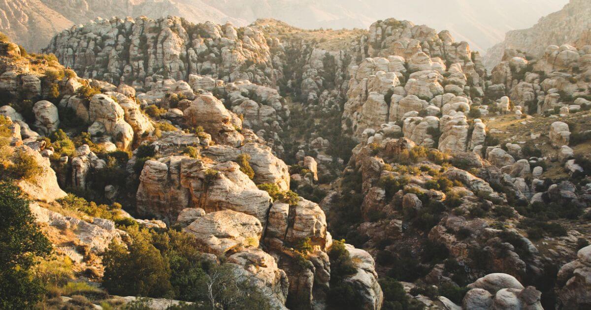 featured article image