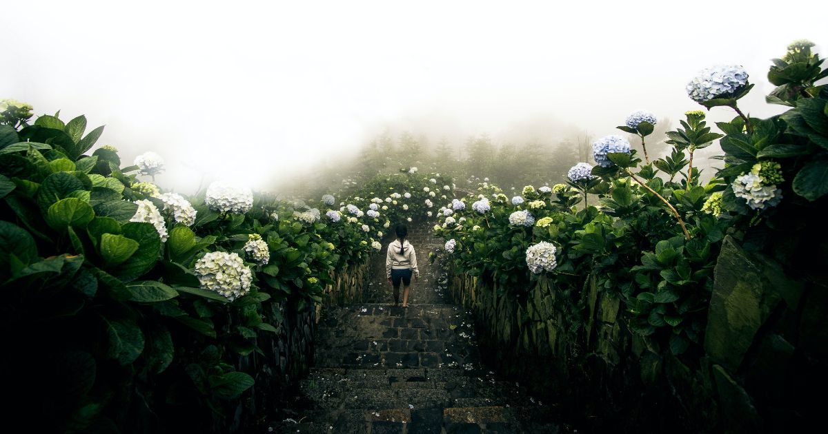 featured article image