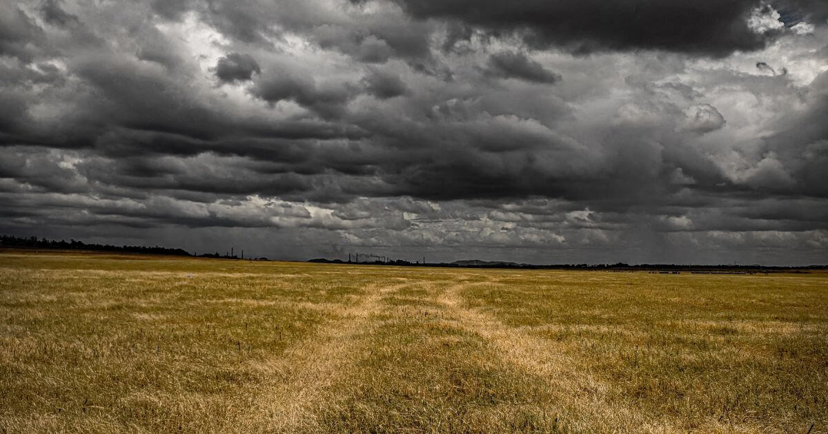 featured article image