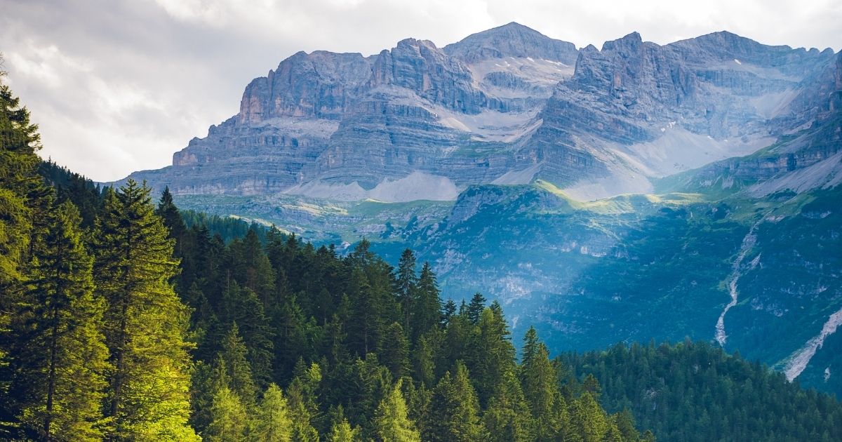 featured article image