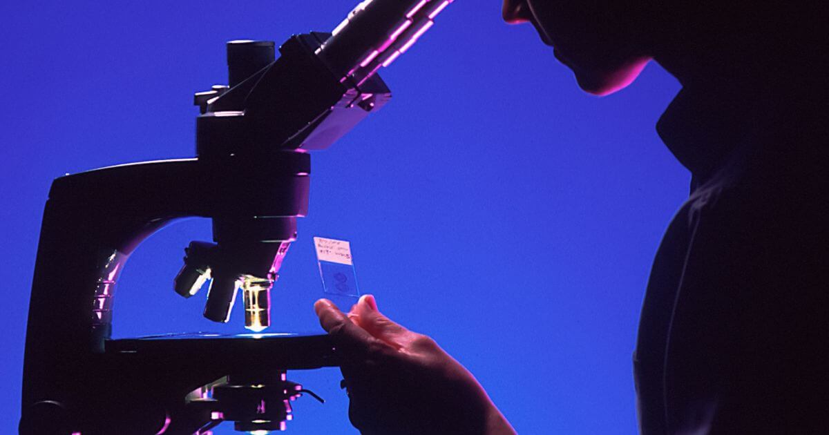 featured article image