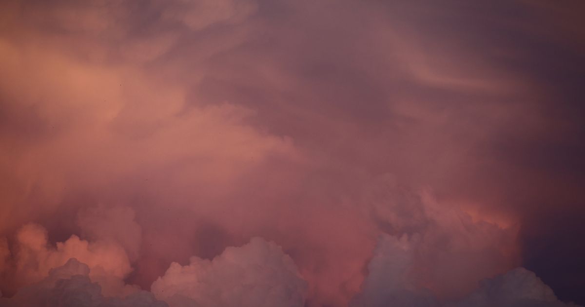 featured article image