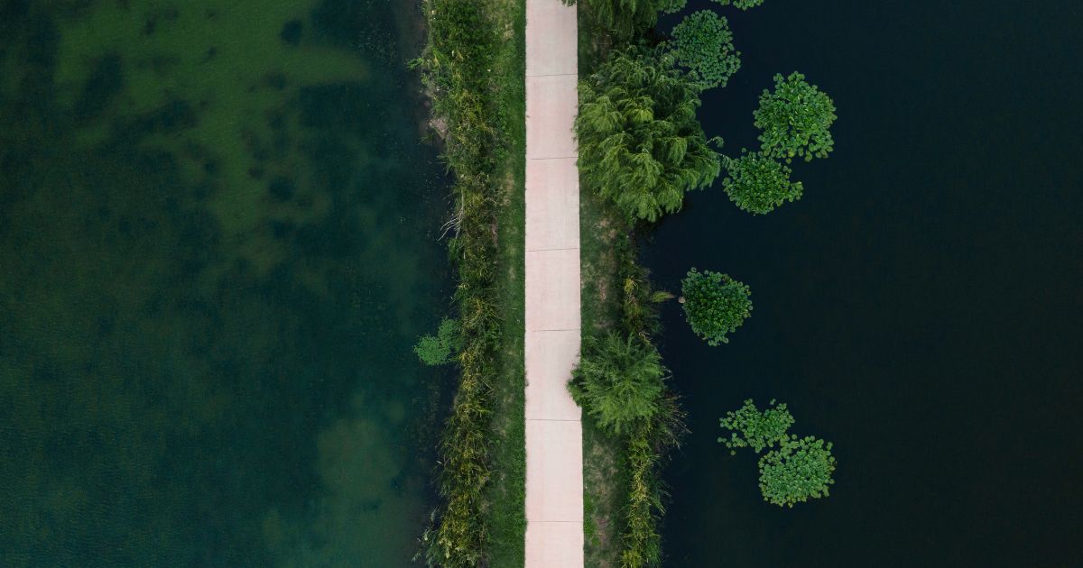 featured article image