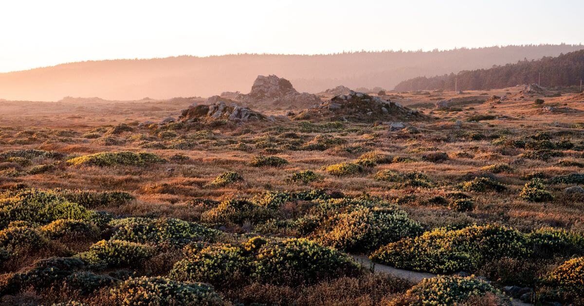 featured article image