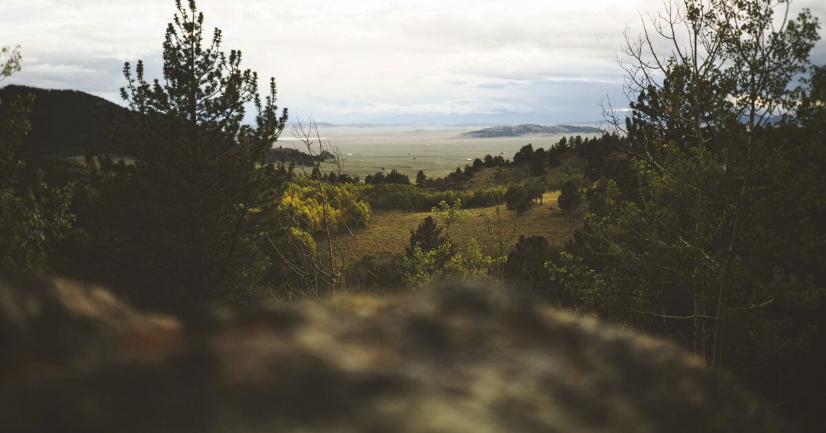 featured article image