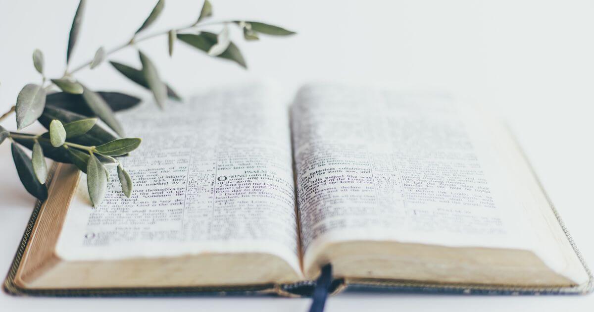 featured article image