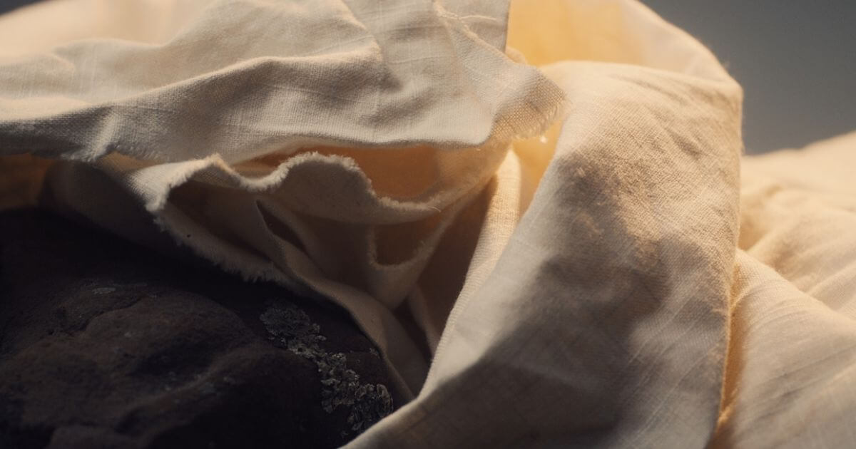 featured article image