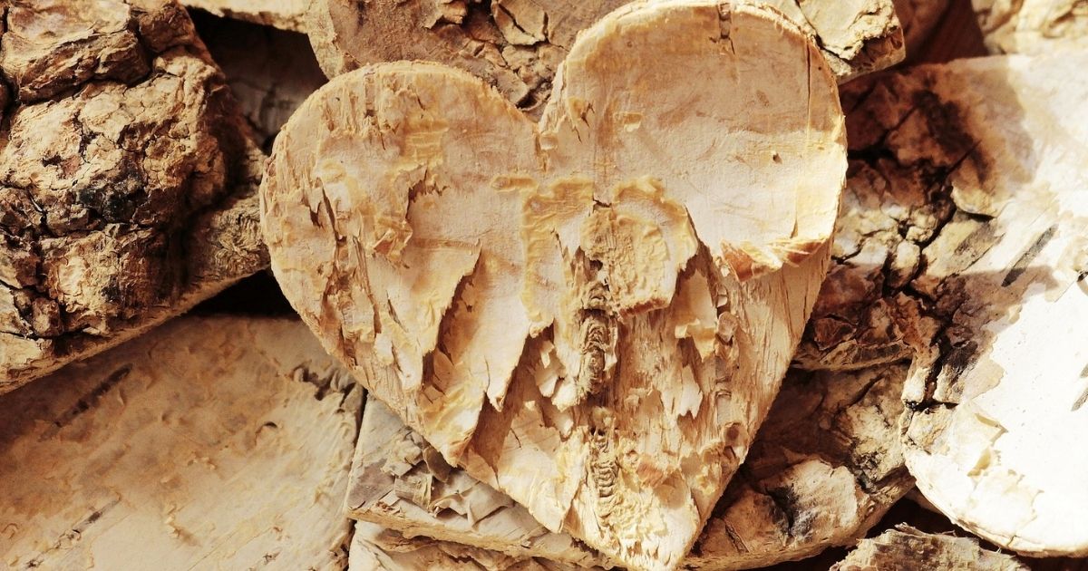 featured article image