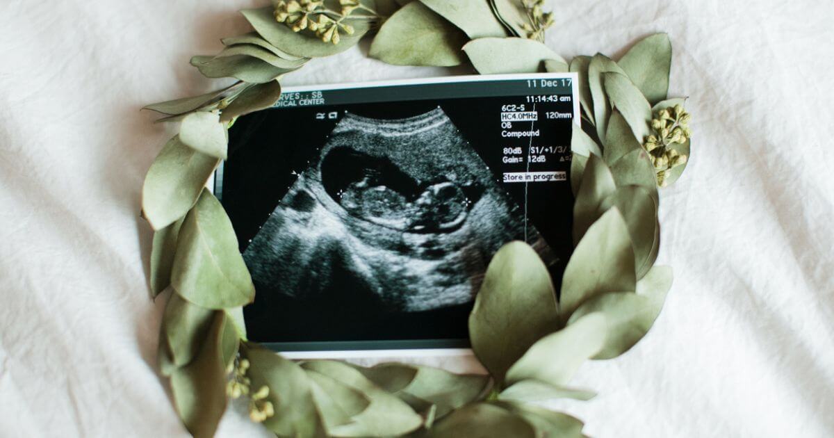 featured article image