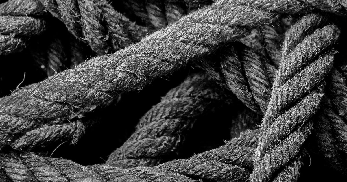 featured article image