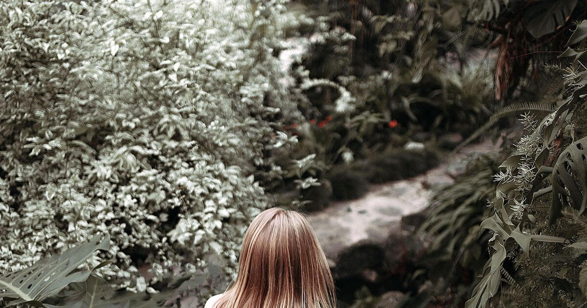 featured article image