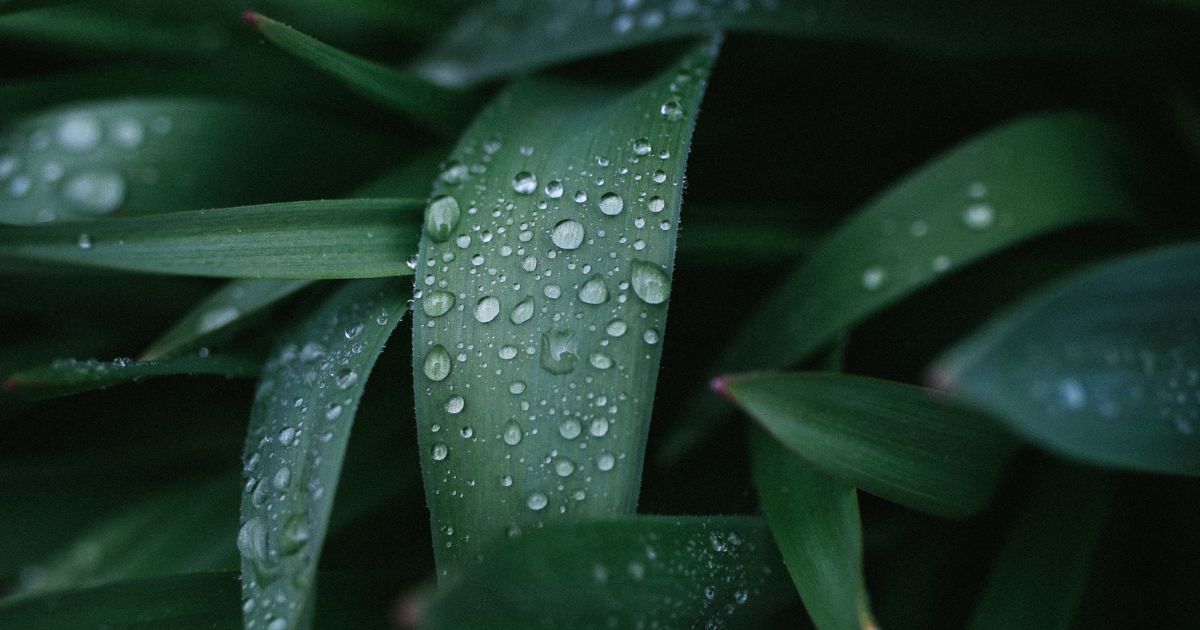 featured article image