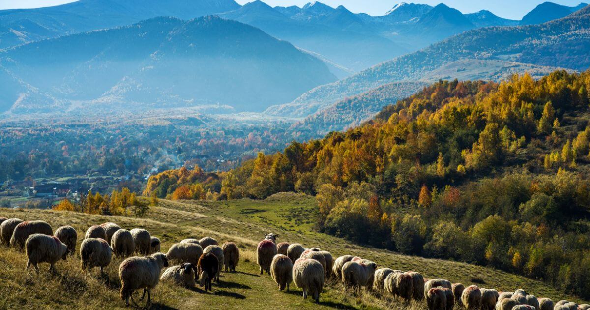 featured article image