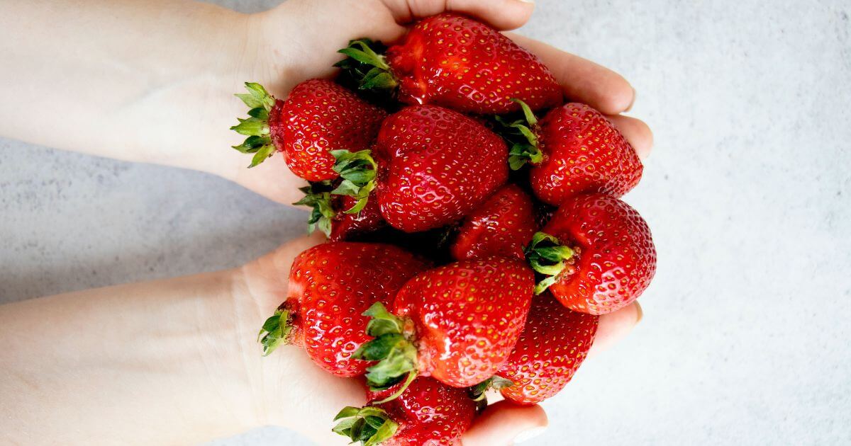 featured article image