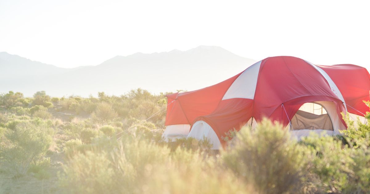 featured article image