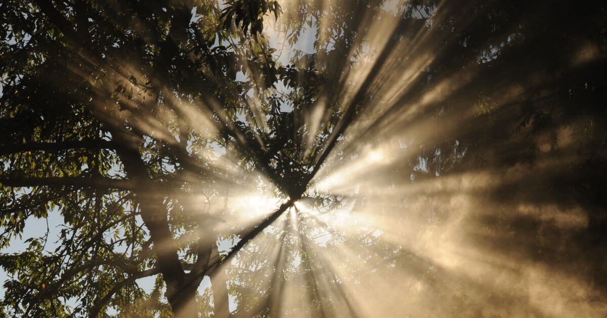 featured article image