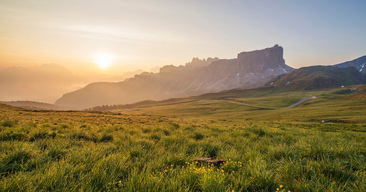 featured article image