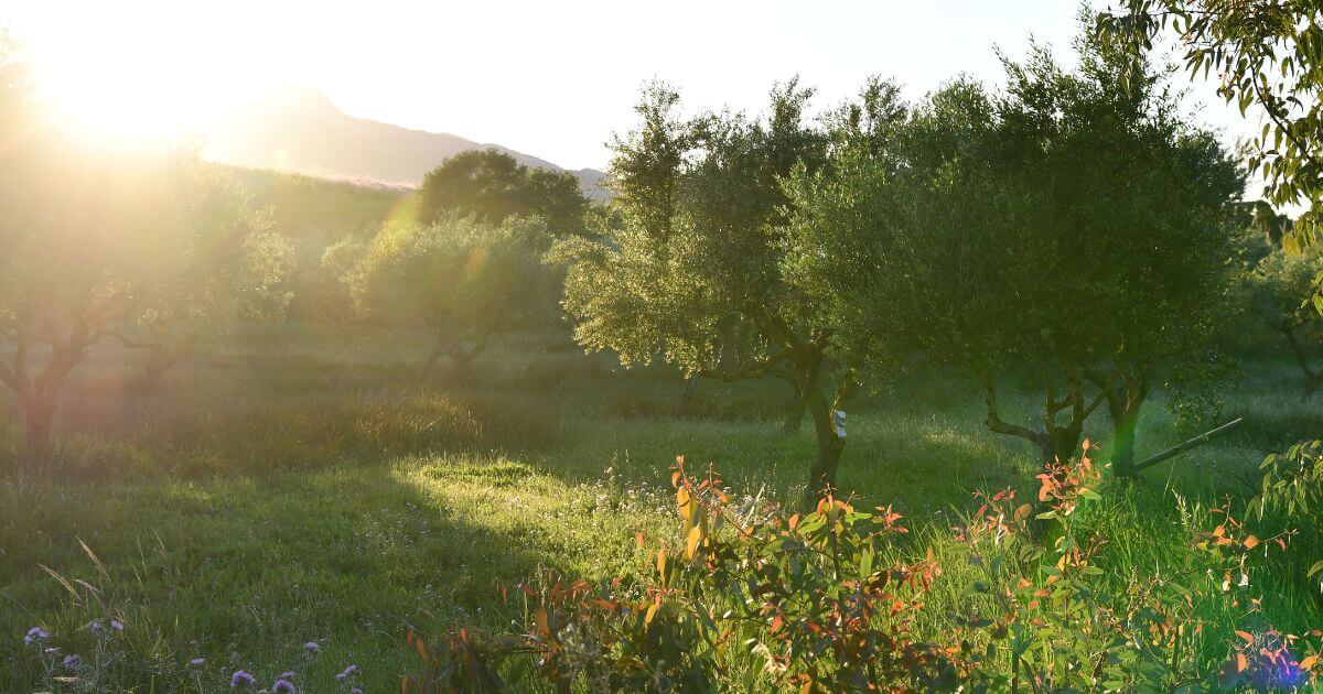 featured article image