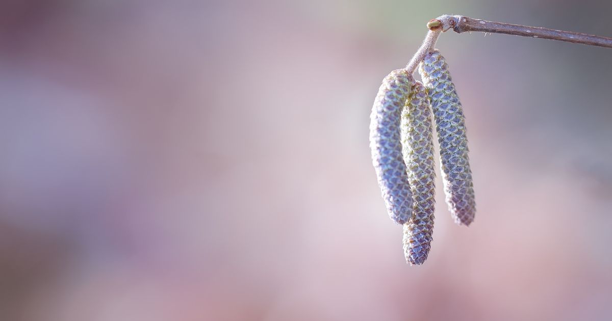 featured article image