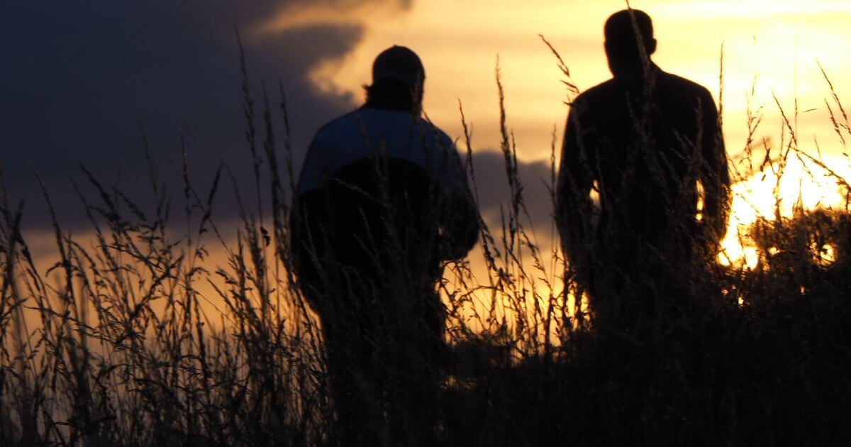 featured article image