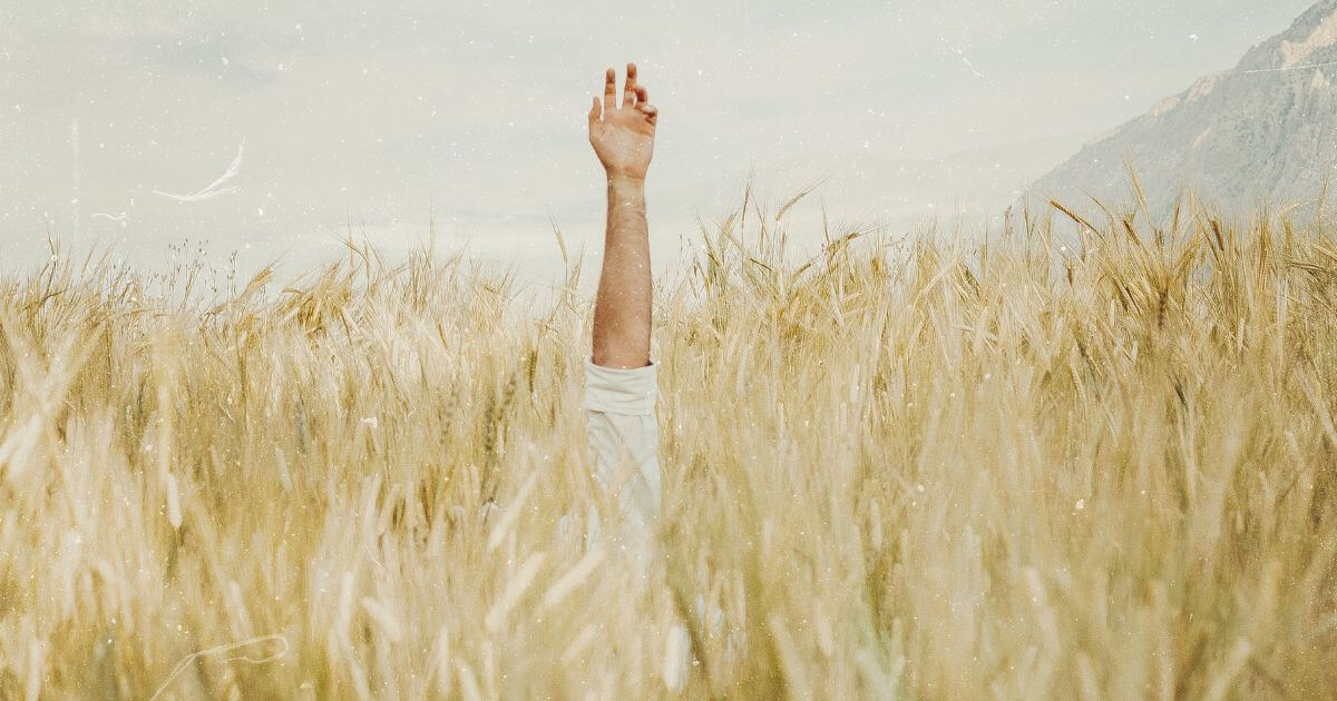 featured article image