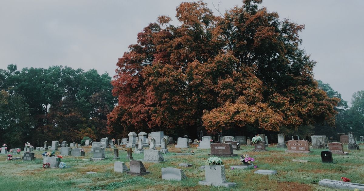 featured article image