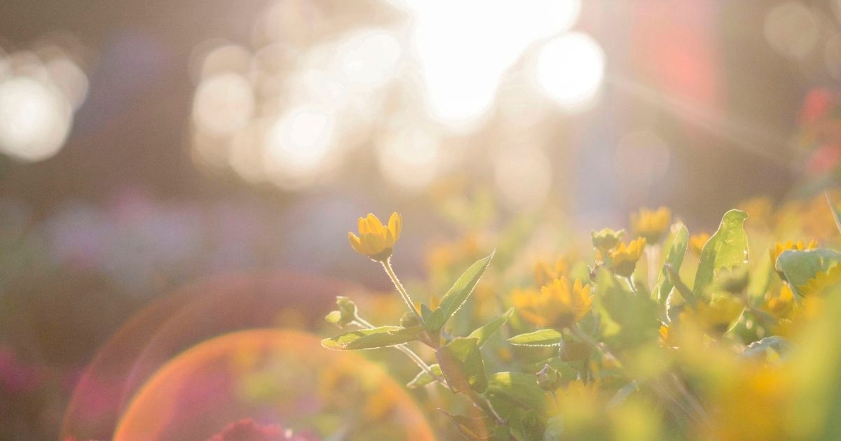 featured article image