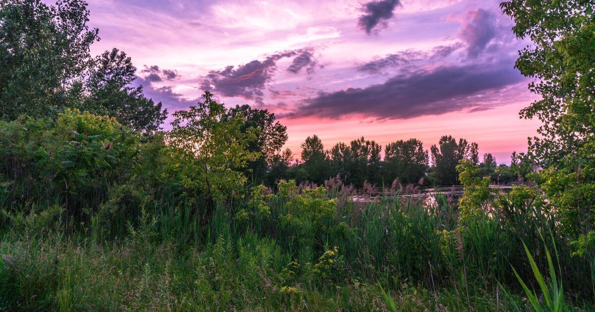 featured article image