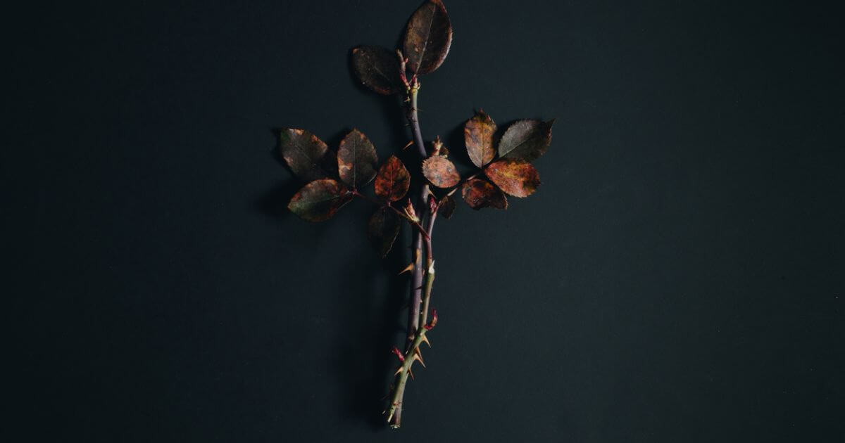 featured article image