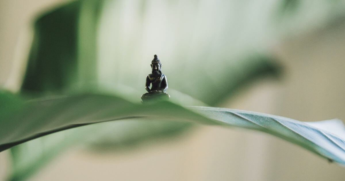 featured article image