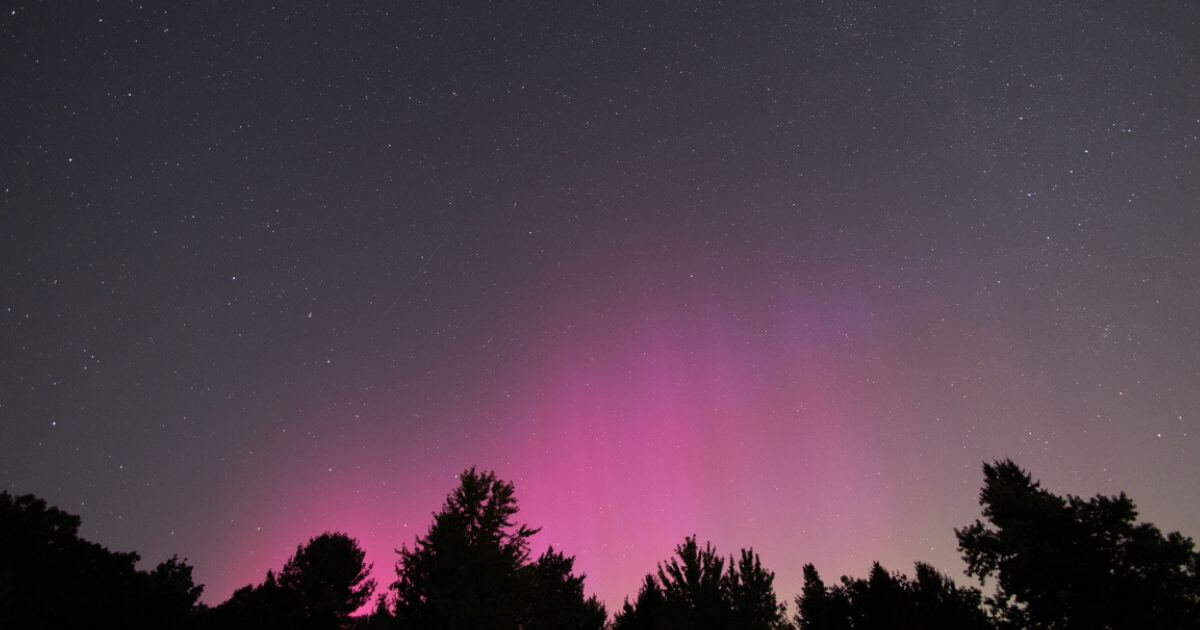 featured article image