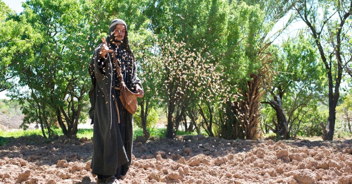 featured article image