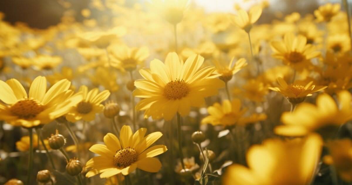 featured article image