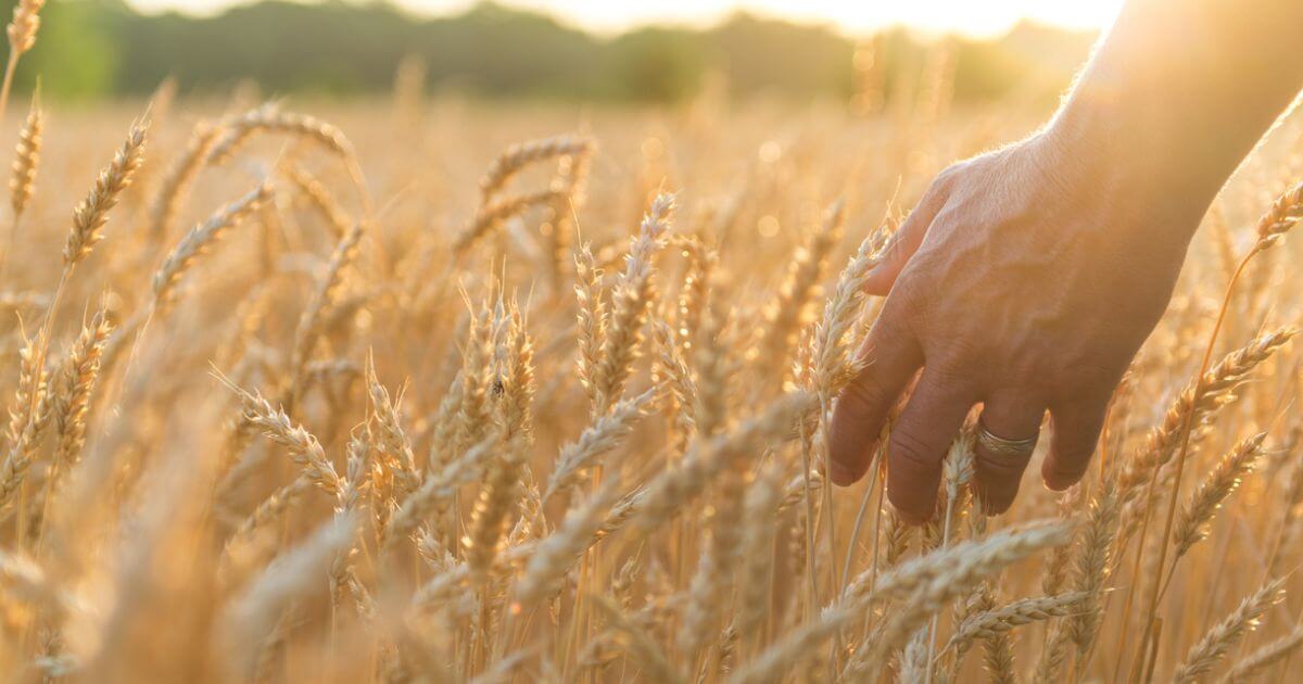 featured article image