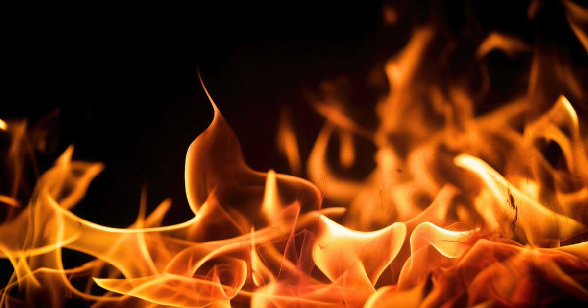 featured article image