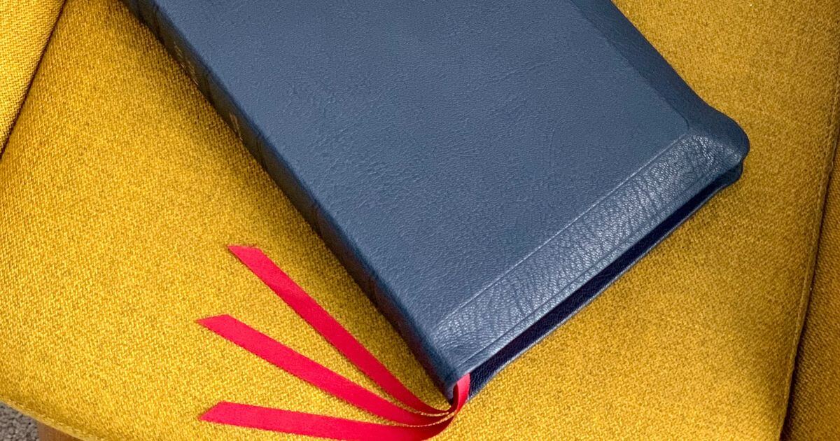 featured article image