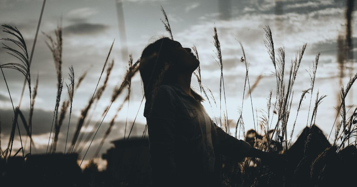 featured article image