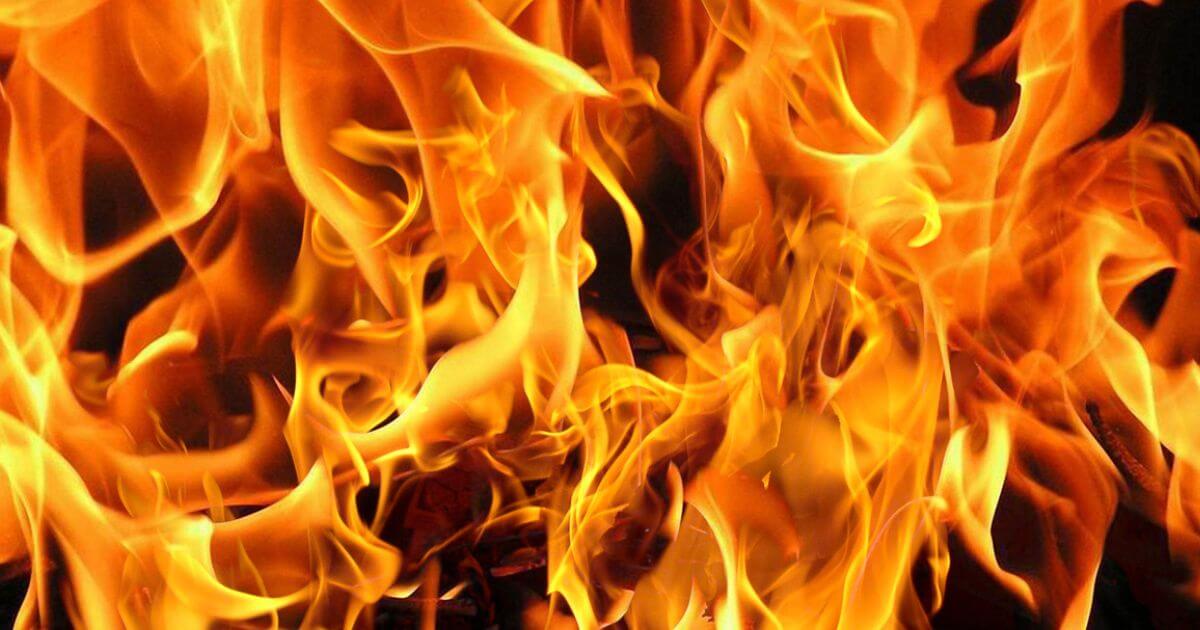 featured article image