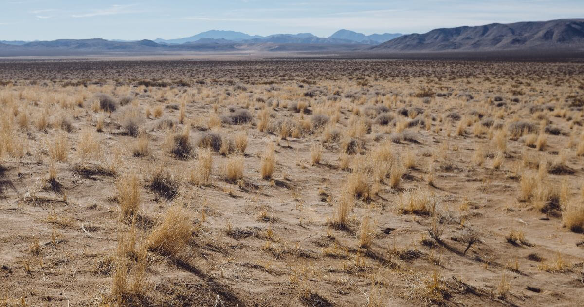 featured article image