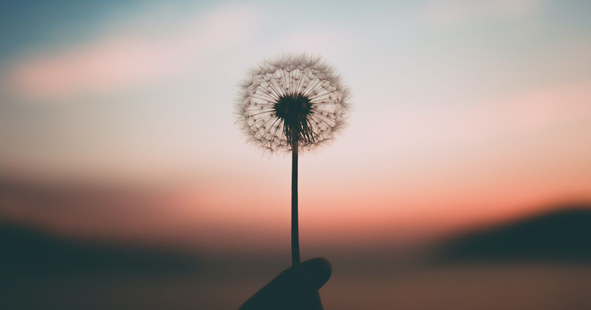 featured article image